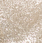 Jaycee Skirt in Silver