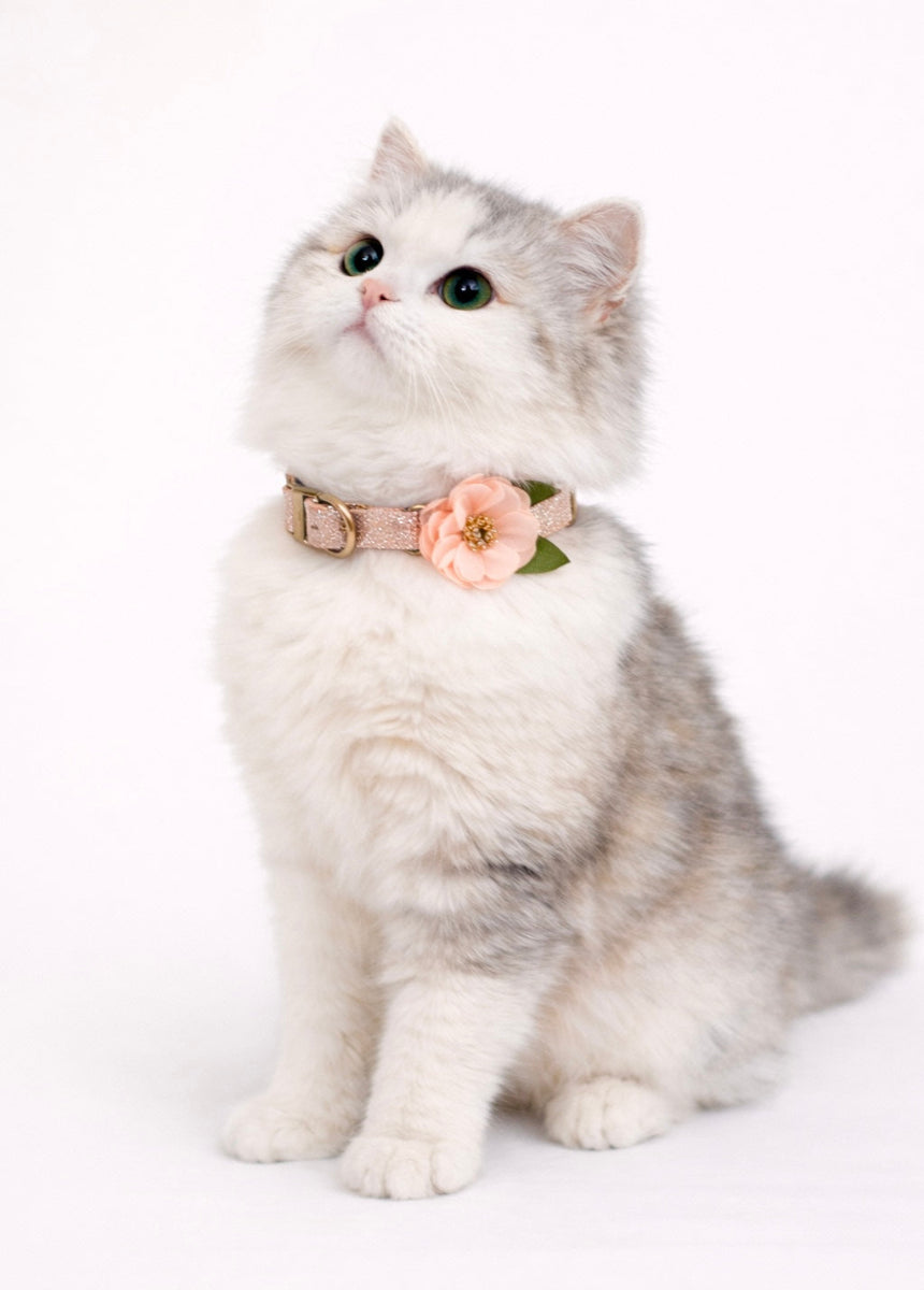 Missy Pet Collar in Rose Gold Glitter