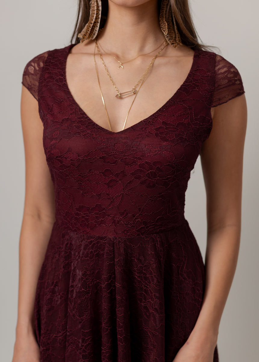 Fernilia Dress in Oxblood