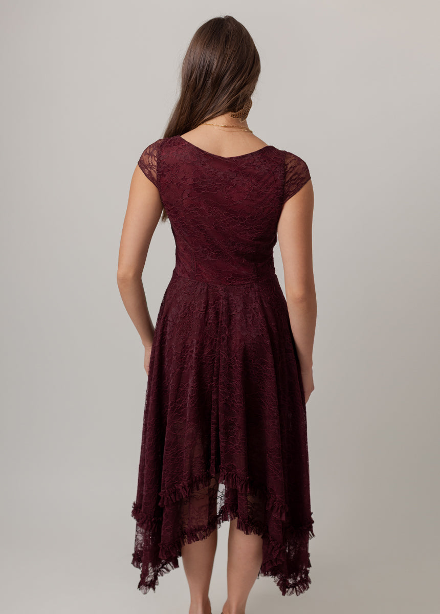Fernilia Dress in Oxblood