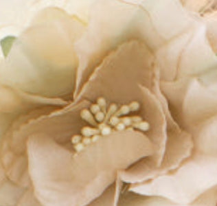 Orly Flower Crown in Cream