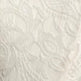 Anouk Petticoat Dress in Vintage Ivory