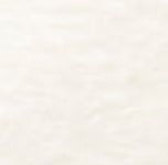 Ayasha Bodysuit in Cream