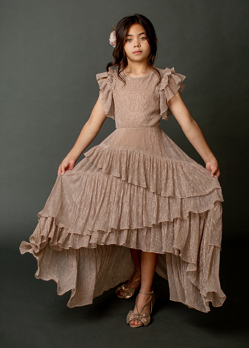 Angelina Dress in Rosegold