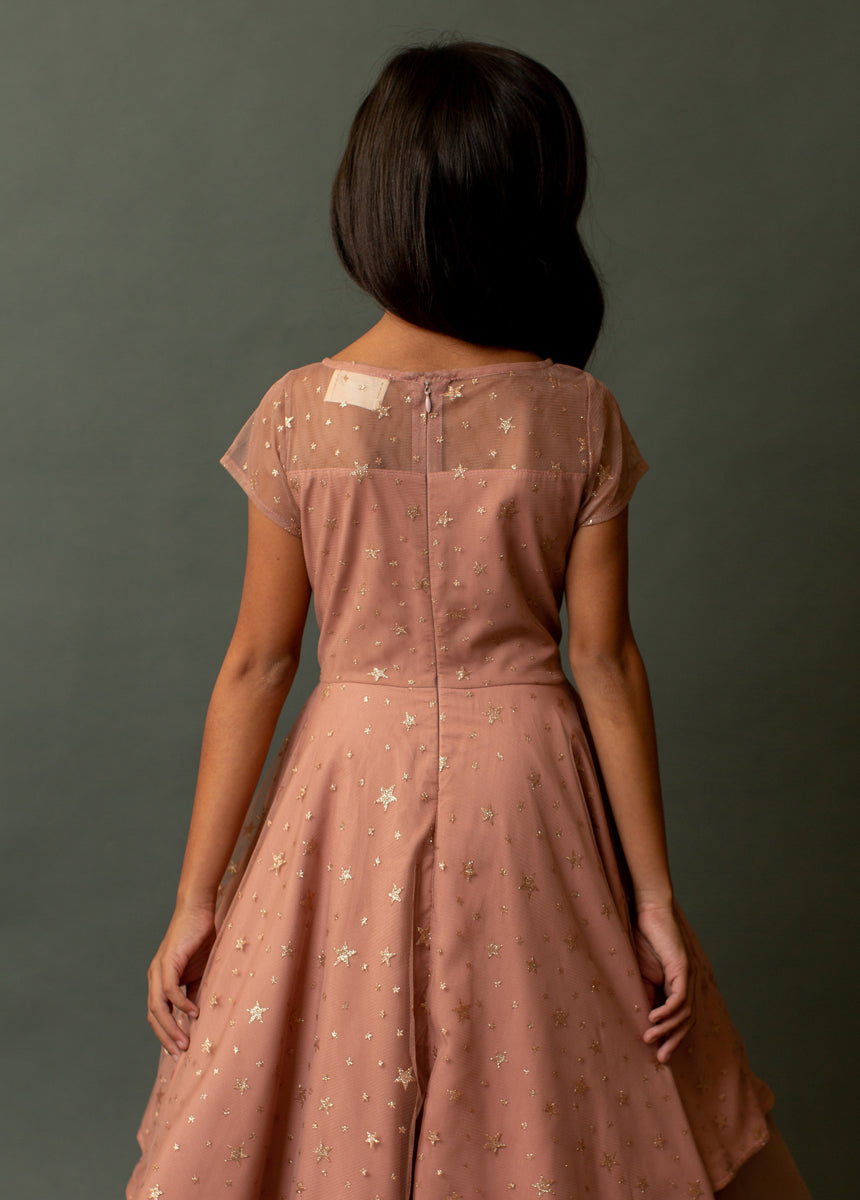 Annalise Dress in Ashe Rose