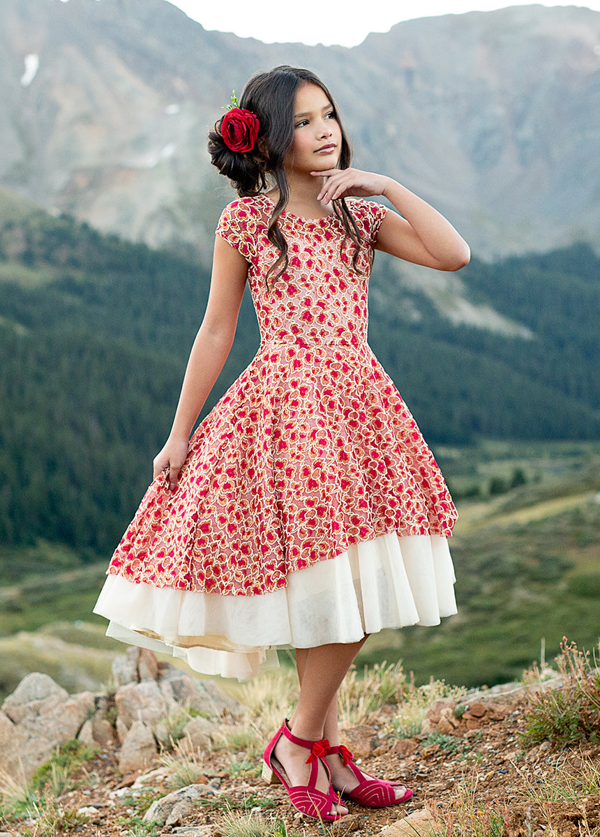 Annalise Petticoat Dress in Scarlet Metallic - Joyfolie