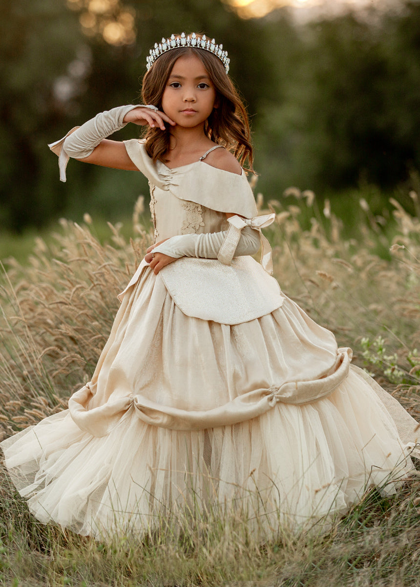 Princess Dress Shop Fancy Dress Shop For Blue/Pink Long Sleeve