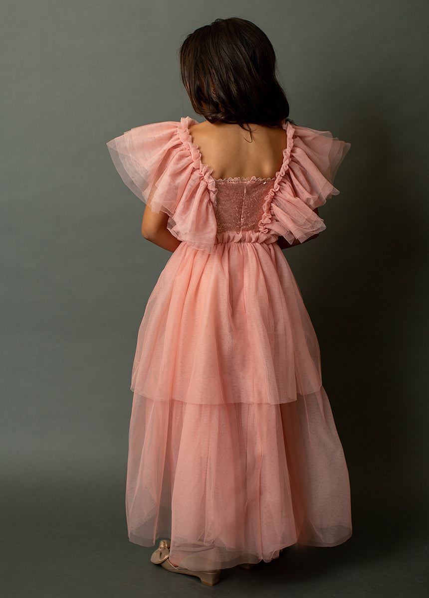 Ayla Petticoat Dress in Rose Dawn