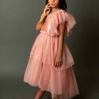 Ayla Petticoat Dress in Rose Dawn