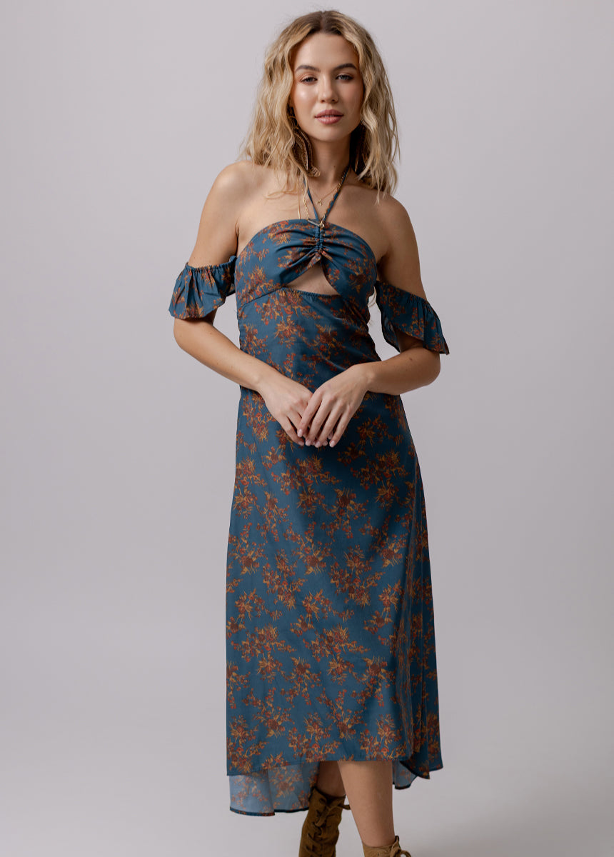 Chillie Dress in Blue Chambray Print