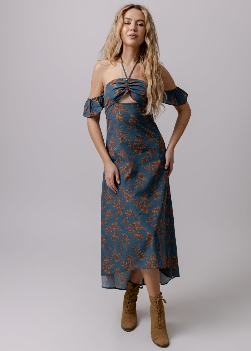 Chillie Dress in Blue Chambray Print