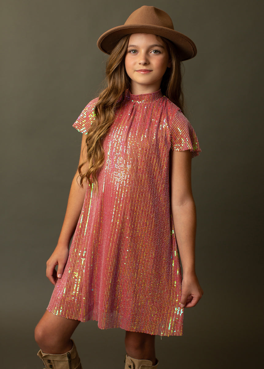 Chele Dress in Mesa Rose