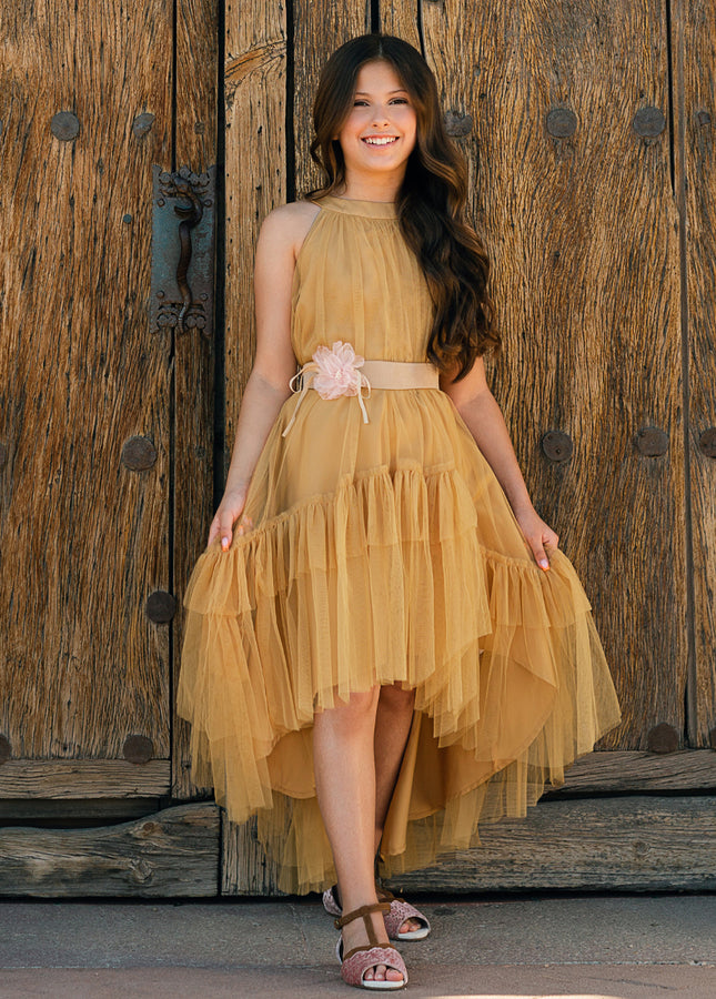 Fayo Dress