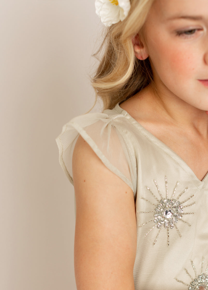 Ginger Dress in Silver