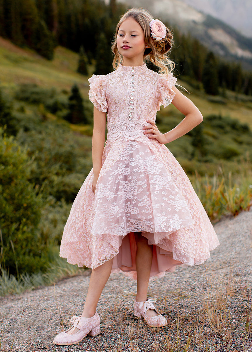Kristy Petticoat Dress in Blush Metallic