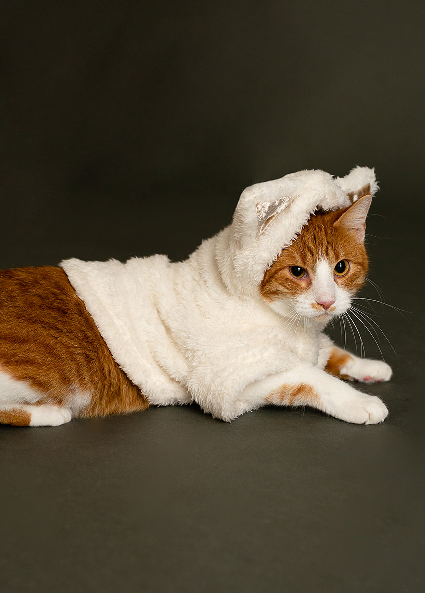Meowza Pet Hoodie in Cream