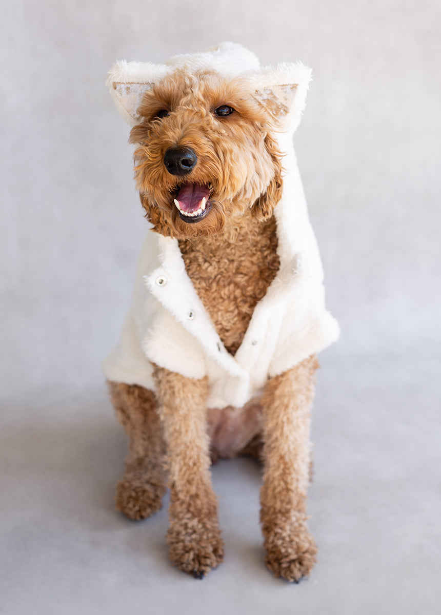 Meowza Pet Hoodie in Cream