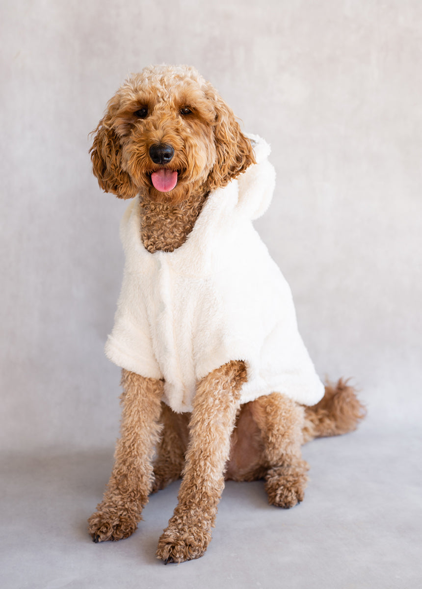 Meowza Pet Hoodie in Cream