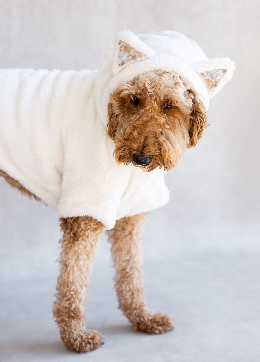 Meowza Pet Hoodie in Cream