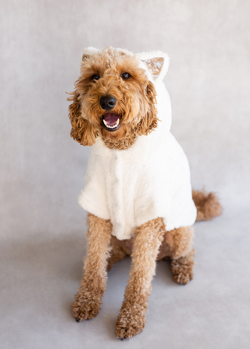 Meowza Pet Hoodie in Cream