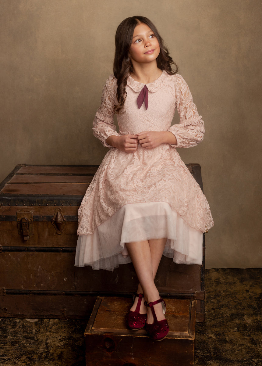 Paris Petticoat Dress in Lilac 4