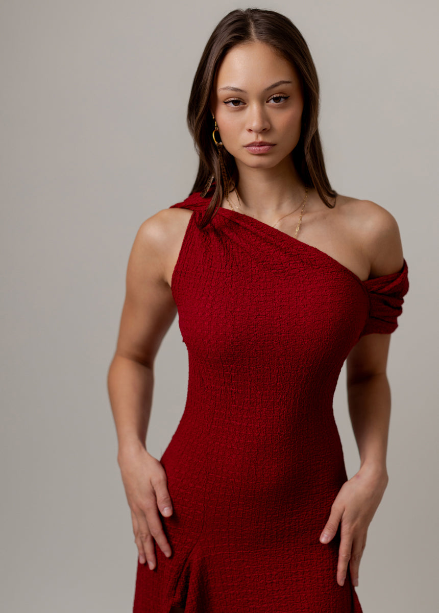 Roxanya Dress in Crimson
