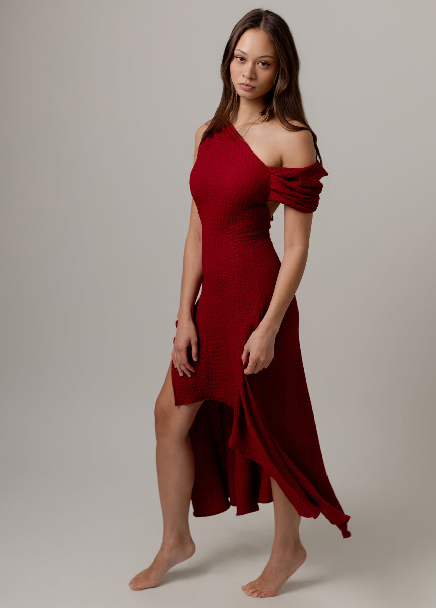 Roxanya Dress in Crimson