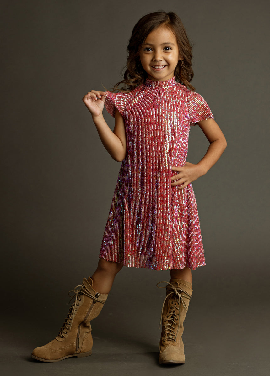 Chele Dress in Mesa Rose