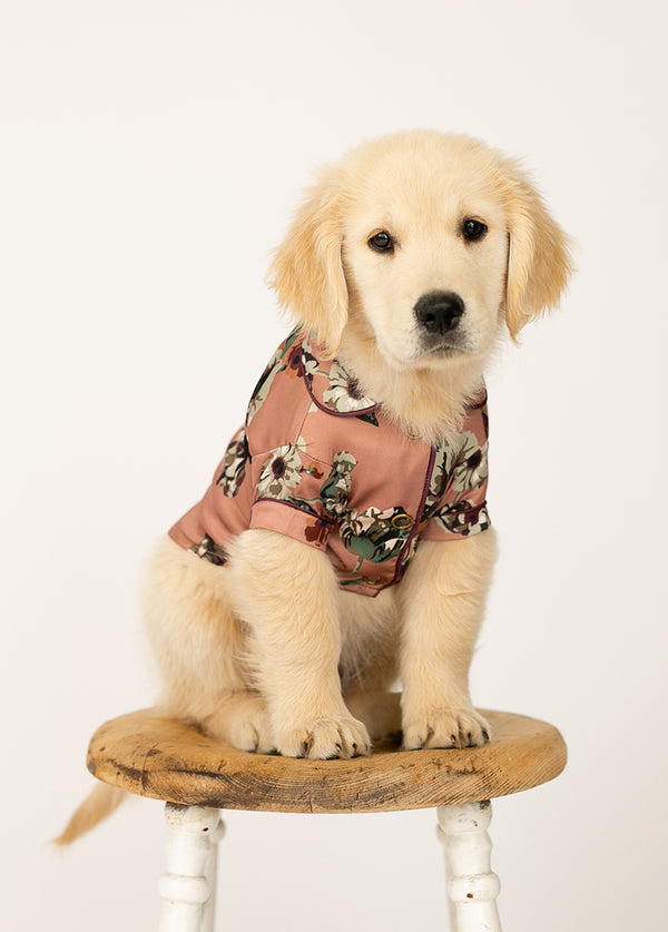 Ruby Pet Pjs in Pink Floral - Joyfolie