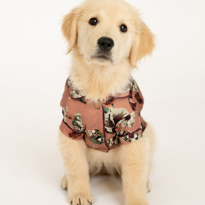 Ruby Pet Pjs in Pink Floral