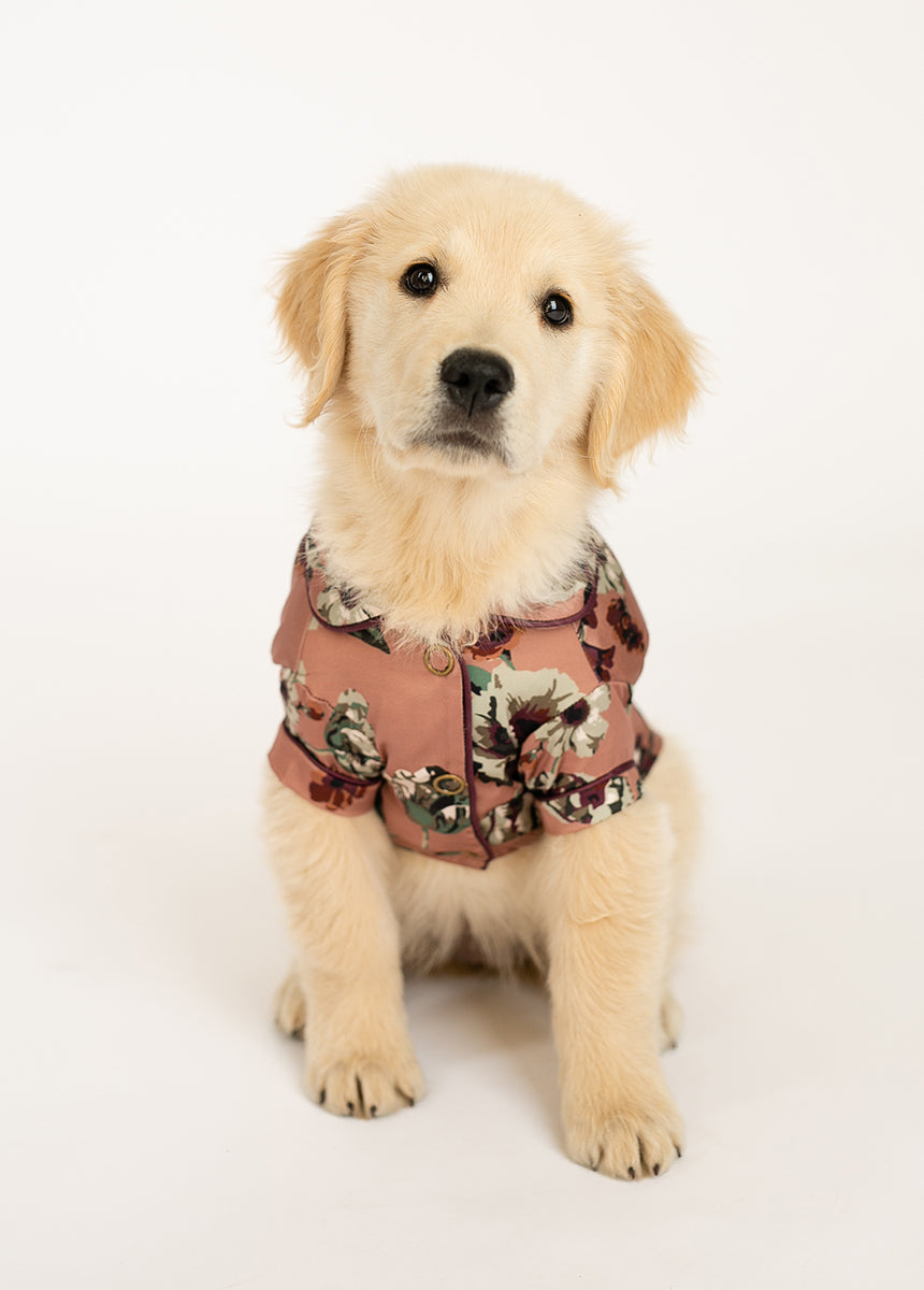 Ruby Pet Pjs in Pink Floral
