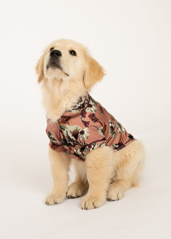 Ruby Pet Pjs in Pink Floral - Joyfolie