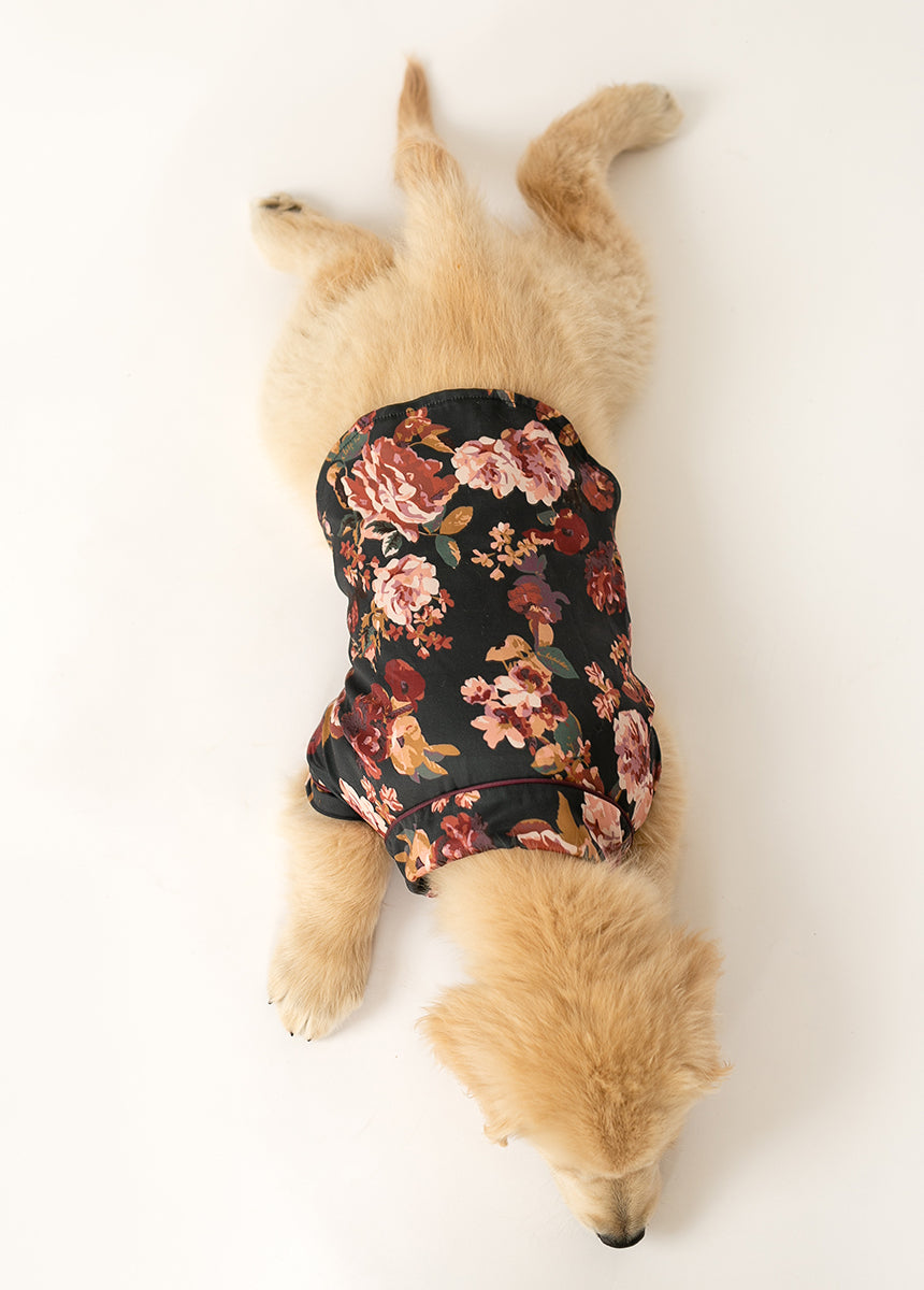Ruby Pet Pjs in Off Black Floral