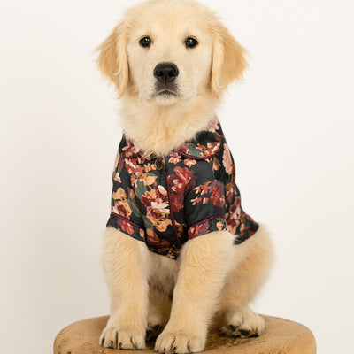 Ruby Pet Pjs in Off Black Floral