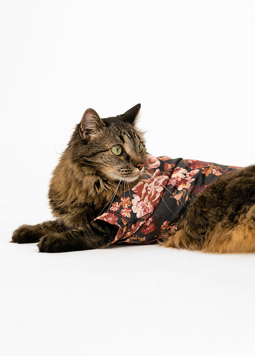 Ruby Pet Pjs in Off Black Floral