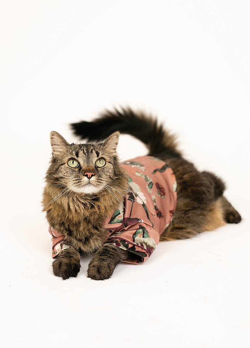 Ruby Pet Pjs in Pink Floral