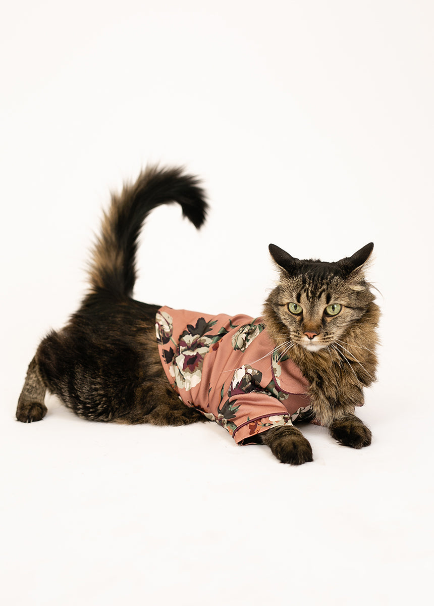 Ruby Pet Pjs in Pink Floral
