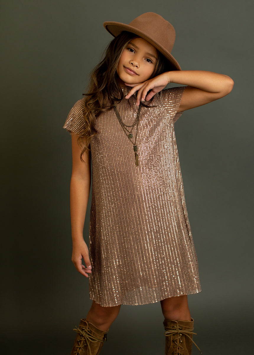 Chele Dress in Bronze